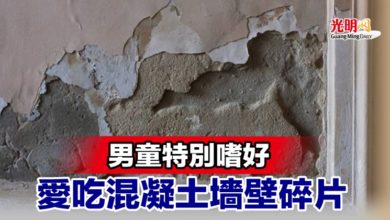 Photo of 男童特別嗜好 愛吃混凝土墻壁碎片