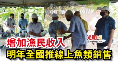 Photo of 增加漁民收入  明年全國推線上魚類銷售