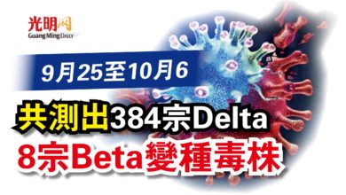 Photo of 9月25至10月6  共測出384宗Delta 8宗Beta變種毒株
