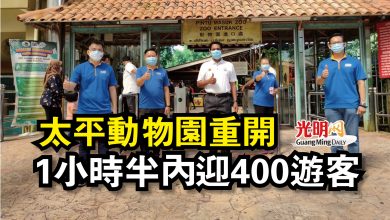 Photo of 太平動物園重開  1小時半內迎400遊客