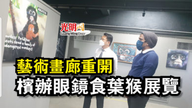 Photo of 藝術畫廊重開 檳辦眼鏡食葉猴展覽