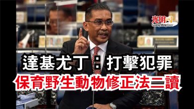 Photo of 【國會】達基尤丁：打擊犯罪  保育野生動物修正法二讀