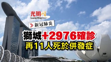 Photo of 【新冠肺炎】獅城+2976確診 再11人死於併發症