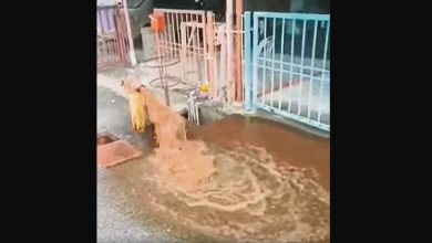 Photo of 水供如奶茶 白衣洗到黃 甲市區自來水污濁