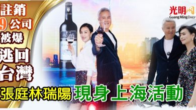 Photo of 註銷9公司被爆逃回台灣 張庭林瑞陽現身上海活動