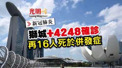 Photo of 【新冠肺炎】獅城+4248確診 再16人死於併發症