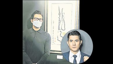 Photo of 城城書法 升級參展品
