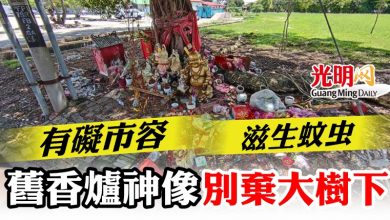 Photo of 有礙市容滋生蚊虫  舊香爐神像別棄大樹下