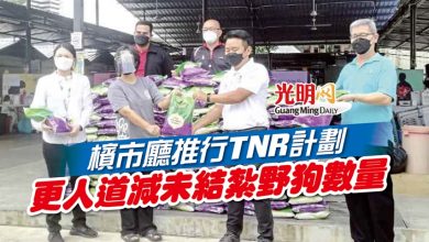 Photo of 檳市廳推行TNR計劃 更人道減未結紮野狗數量