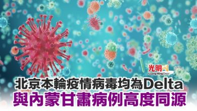 Photo of 北京本輪疫情病毒均為Delta 與內蒙甘肅病例高度同源