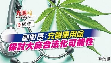 Photo of 【國會】副衛長：充醫療用途 探討大麻合法化可能性