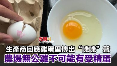 Photo of 生產商回應雞蛋里傳出“嘰嘰”聲 農場無公雞不可能有受精蛋