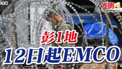 Photo of 彭1地 12日起EMCO