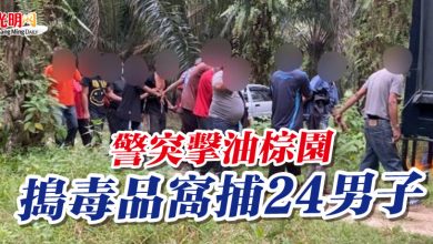 Photo of 警突擊油棕園 搗毒品窩捕24男子
