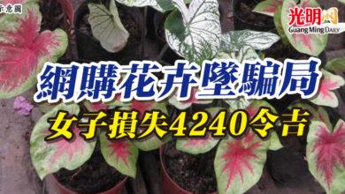 Photo of 網購花卉墜騙局 女子損失4240令吉