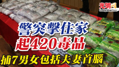 Photo of 警突擊住家起420毒品  捕7男女包括夫妻首腦