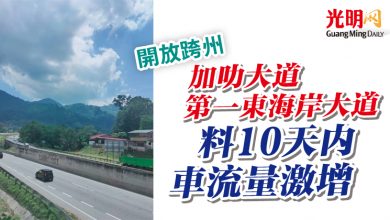 Photo of 【開放跨州】加叻大道  第一東海岸大道 料10天內車流量激增