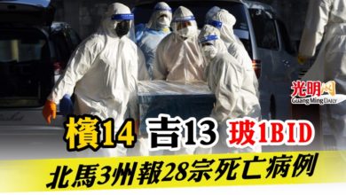 Photo of 檳14 吉13 玻1BID   北馬3州報28宗死亡病例