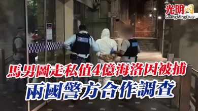 Photo of 馬男圖走私值4億海洛因被捕  兩國警方合作調查