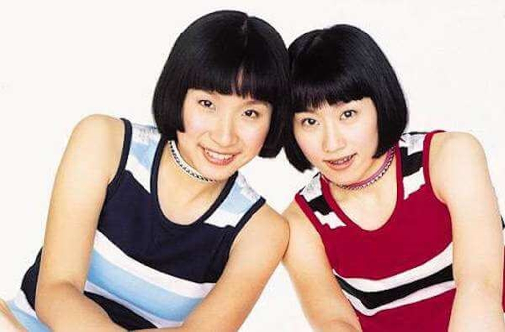 中國娃娃2000年出道，是由兩位泰籍華裔的貝兒（李曉燕）、娃娃（陳冠樺）組成