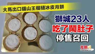 Photo of 大馬出口貓山王榴梿冰皮月餅 獅城23人吃了鬧肚子 停售召回