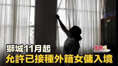 Photo of 獅城11月起 允許已接種外籍女傭入境