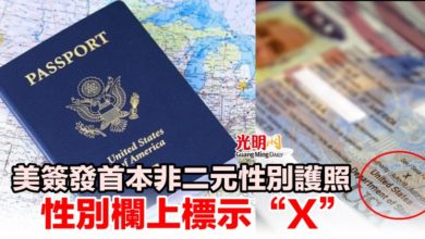 Photo of 美簽發首本非二元性別護照 性別欄上標示“X”