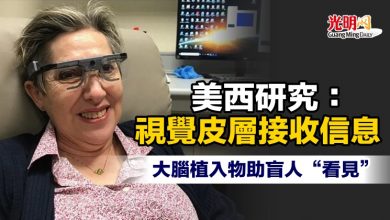 Photo of 美西研究：視覺皮層接收信息 大腦植入物助盲人“看見”