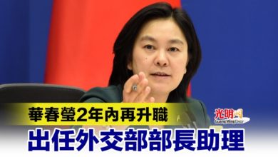 Photo of 華春瑩2年內再升職 出任外交部部長助理