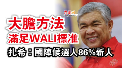 Photo of 扎希：國陣候選人86%新人  大膽方法滿足WALI標准