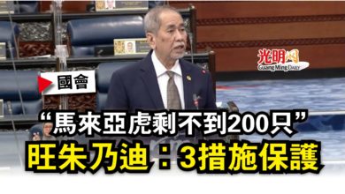 Photo of 【國會】“馬來亞虎剩不到200只”  旺朱乃迪：3措施保護