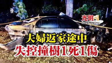 Photo of 夫婦返家途中  失控撞樹1死1傷