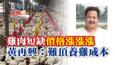 Photo of 雞肉短缺價格漲漲漲  黃再興：難頂養雞成本