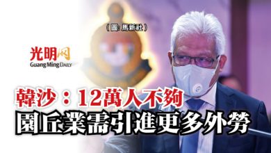 Photo of 韓沙:12萬人不夠 園丘業需引進更多外勞