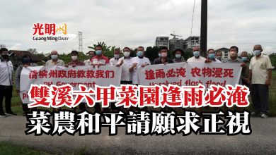 Photo of 雙溪六甲菜園逢雨必淹 菜農和平請願求正視