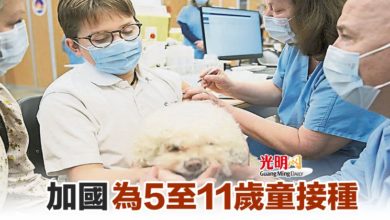 Photo of 加國為5至11歲童接種