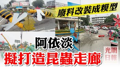 Photo of 廢料改裝成模型 阿依淡擬打造昆蟲走廊