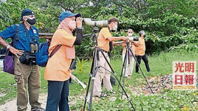 Photo of 吸引150種鳥類棲息 威北2地成候鳥區