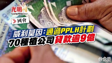 Photo of 【國會】威利莫因：通過PPLH計劃 70種植公司貸款逾9億