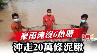 Photo of 豪雨淹沒6魚塘  沖走20萬條泥鰍