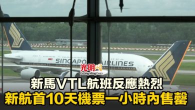 Photo of 新馬VTL航班反應熱烈 新航首10天機票一小時內售罄