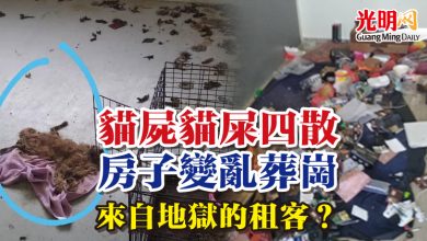 Photo of 貓屍貓屎四散 房子變亂葬崗  來自地獄的租客？