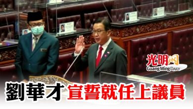 Photo of 劉華才宣誓就任上議員