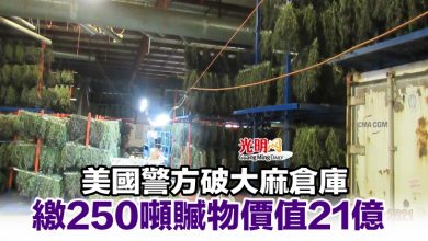 Photo of 美國警方破大麻倉庫 繳250噸贓物價值21億