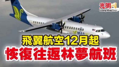 Photo of 飛翼航空12月起  恢復往返林夢航班