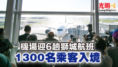Photo of 機場迎6趟獅城航班 1300名乘客入境
