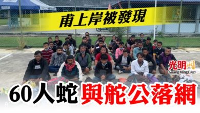 Photo of 甫上岸被發現 60人蛇與舵公落網