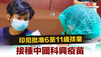 Photo of 印尼批准6至11歲孩童 接種中國科興疫苗