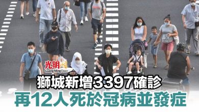 Photo of 獅城新增3397確診 再12人死於冠病並發症