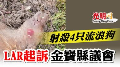 Photo of 射殺4流浪狗 LAR起訴金寶縣議會